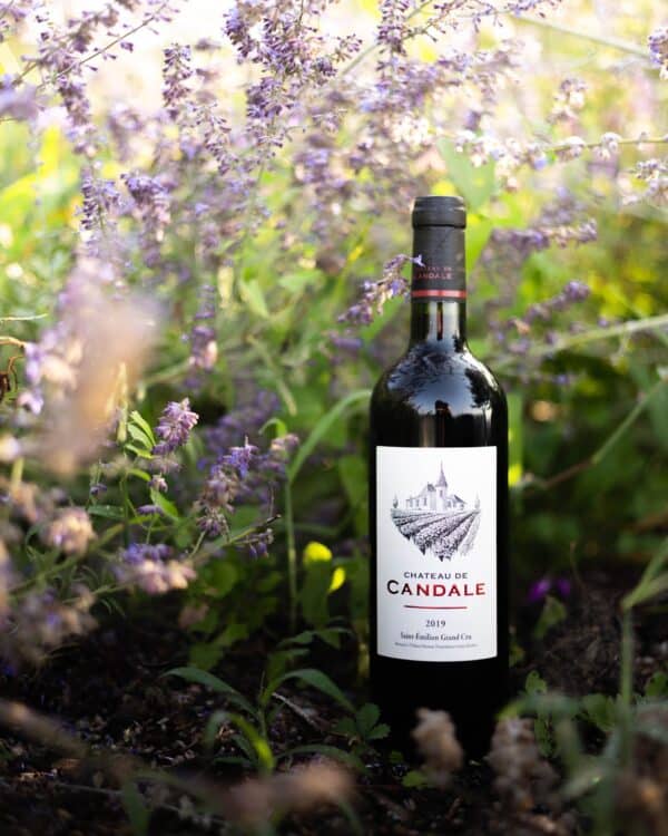 Château de Candale 2019