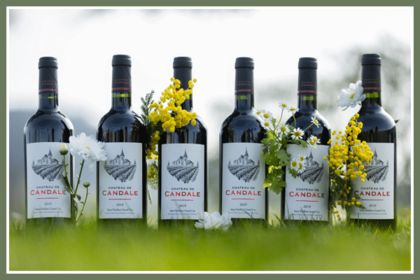 Coffret : 6 bouteilles de Château de Candale 2019