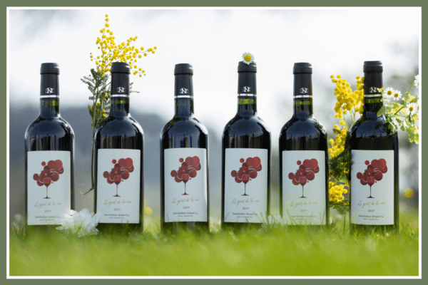 Coffret : 6 bouteilles de Le Goût de la Vie Rouge 2019
