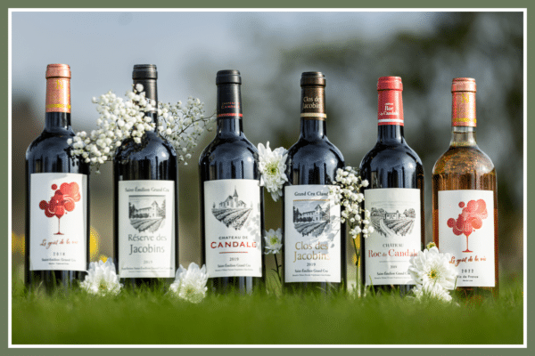 Coffret : 6 bouteilles mixtes