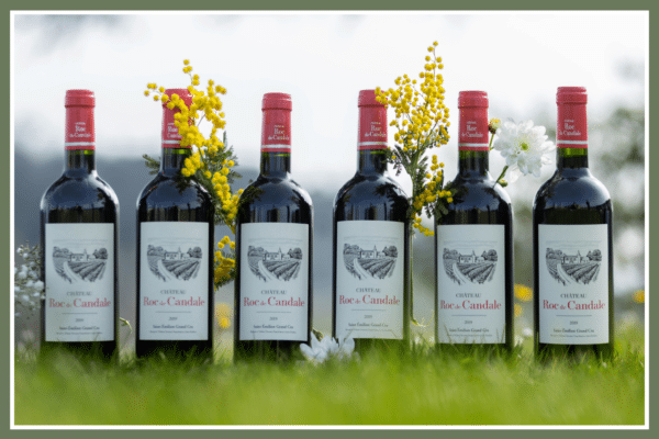 Coffret : 6 bouteilles de Château Roc de Candale 2019